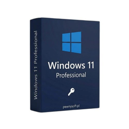 Windows 11 Professional